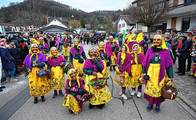 Bild 4: Gurtweiler Fastnachtsumzug: hier gibt´s die schönsten Bilder!