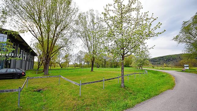 Zwischen Sporthalle Bodman und dem Weg ins Naturschutzgebiet soll die Outdoor-Sportanlage entstehen. Aus Kostengründen wurde die Planung ...