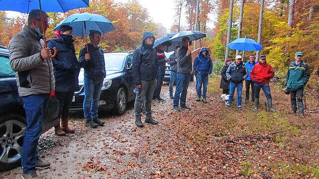 Bei der jährlichen Waldbegehung gibt es für Gemeinderäte und Stadtteilvertreter eine Zustandsbeschreibung des Geisinger Stadtwaldes. ...