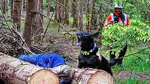 Mit lautem Bellen kündigt Rettungshund Hugo an, dass er eine liegende Person gefunden hat, und alarmiert damit die Helfenden.