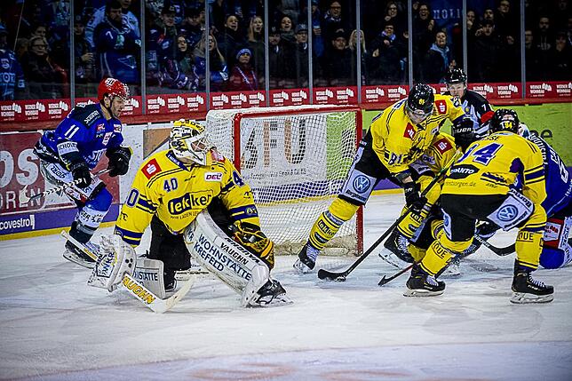 Bild 19: Bilder: Wild Wings vs. Krefeld Pinguine