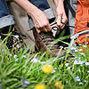 ARCHIV - 29.04.2015, Nordrhein-Westfalen, Köln: ILLUSTRATION - Eine Wandererin schnürt ihre Wanderschuhe. Viele Menschen scheint es in ...