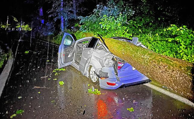 Frauenfeld: Durch den Aufprall des tonnenschweren Baums wurde die Fahrgastzelle des Autos eingedrückt.