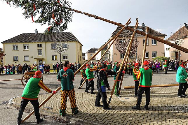 Bild 3: Bilder des Narrenbaumstellens der Froschenzunft Radolfzell