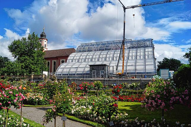 Blick vom italienischen Rosengarten auf das heutige Palmenhaus auf der Insel Mainau. Von hier ist die Sicht auf das Schloss verdeckt. ...