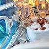 Ein zu früh geborenes Baby liegt in der Berliner Charité in einem Inkubator. Die Chefärzte der Kinderkliniken in Baden-Württemberg ...