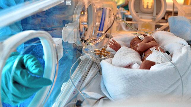 Ein zu früh geborenes Baby liegt in der Berliner Charité in einem Inkubator. Die Chefärzte der Kinderkliniken in Baden-Württemberg ...