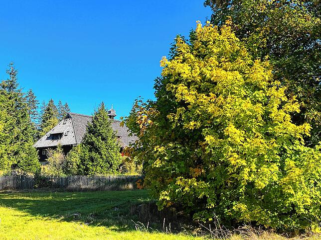 Herbst beim Hüsli in Grafenhausen.
