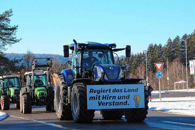 Bild 18: Bauern protestieren gegen Sparpläne: Bilder vom Traktorkorso zur Brauerei Rothaus