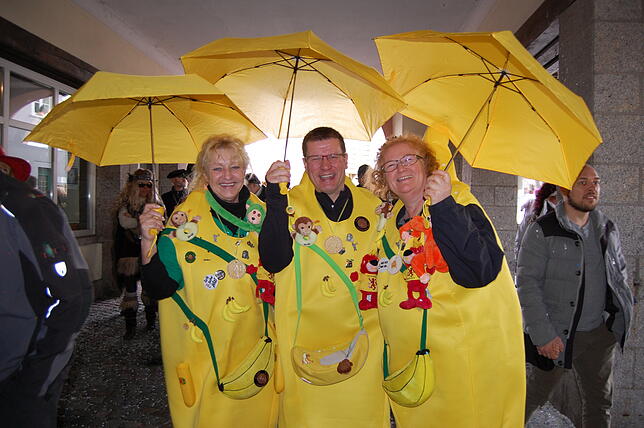 Bild 26: Bilder vom Fasnachtsumzug in Laufenburg (2)