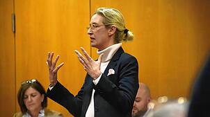 Alice Weidel bei der Nominierungsversammlung der AfD im Wahlkreis Bodensee am 7. Januar. Von diesem Tag stammt auch die Aufzeichnung ...