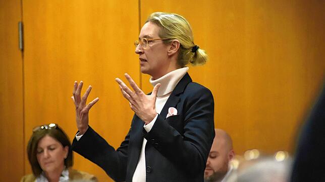 Alice Weidel bei der Nominierungsversammlung der AfD im Wahlkreis Bodensee am 7. Januar. Von diesem Tag stammt auch die Aufzeichnung ...