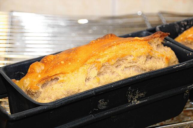 Frisch aus dem Backofen: das Dinkelbrot hat eine goldgelbe Kruste. Die durch den Gärprozess entstandenen Blasen sind verblieben und ...