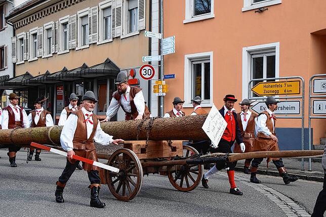 Bild 29: Bilder vom Narrenbaum-Umzug in Stockach mit Schaulustigen