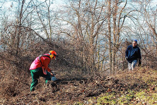Nicole Döbert aus Radolfzell (links) ist Diplom-Ingenieurin im Gartenbau. Sie geht entsprechend souverän mit der Motorsäge um. Hanspeter ...