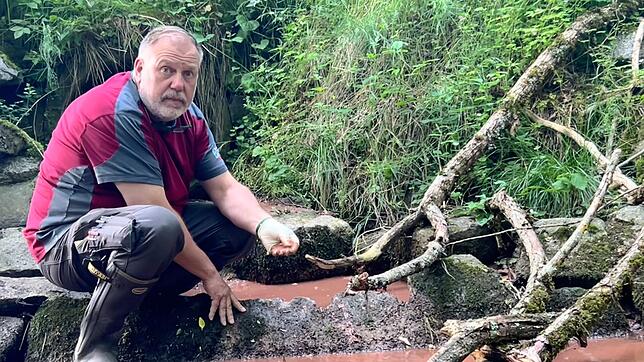 Gewässerwart Tilo Pässler zeigt die rotbraun-schmierige Brühe, die am Dienstag den Warenbach verschmutzt.