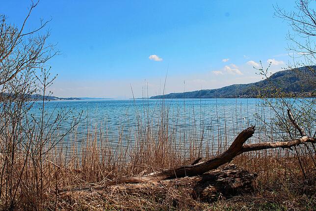 Im Naturschutzgebiet Ried herrschte über die Ostertage wenig Betrieb. Die wenigen Spaziergänger und Radler genossen die Ruhe am See.