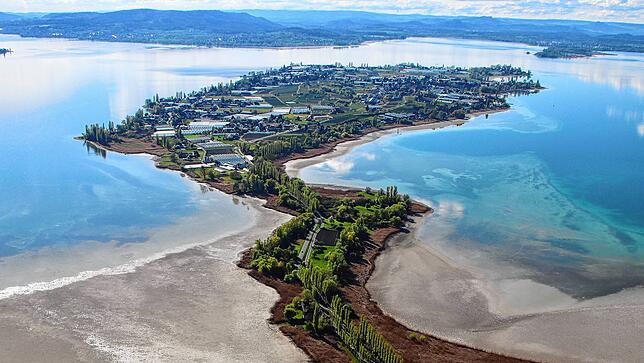 Blick auf die Insel Reichenau: Hier sollte ein Segler-Tag für Kinder zwischen sieben und zehn Jahren stattfinden. Doch Schulen winken ...