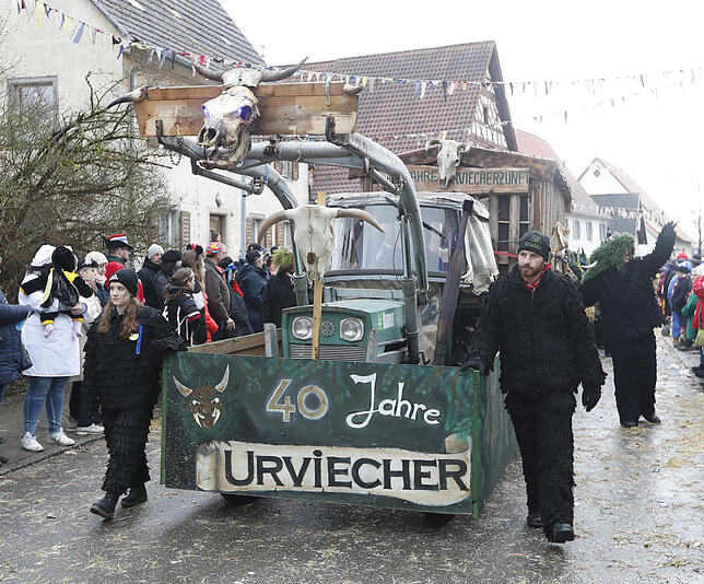 Bild 39: Bilder zum großen Narrentreffen in Pfohren (4)