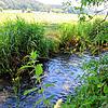 Die Stadt Pfullendorf bezieht ihr Wasser aus dem Andelsbachtal, wo die Versorgung durch eigene Brunnen gesichert ist.