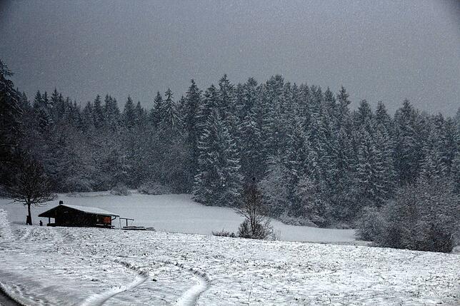 Bild 5: So schön war der erste Schnee im Hegau!