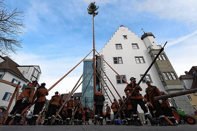Bild 14: Bilder vom Narrenbaumstellen der Narrizella Ratoldi auf dem Marktplatz