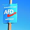 Unter anderem mit solchen Plakaten warb die AfD vor der Kommunal- und Europawahl im Juni in der Singener Südstadt. Damit hat die Partei ...
