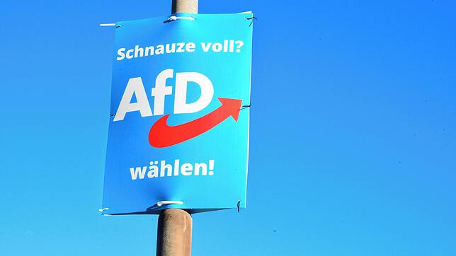Unter anderem mit solchen Plakaten warb die AfD vor der Kommunal- und Europawahl im Juni in der Singener Südstadt. Damit hat die Partei ...
