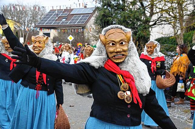 Bild 21: Narrenverein Heuliecher: Die besten Bilder aus dem Jubiläumsumzug