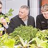 Landschaftsgärtner Thomas Wuttke von der Stiftung Liebenau (Mitte) und seine beiden Auszubildenden Jannik Fischer (links) und Marco ...
