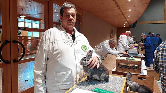 Andreas Koretic, Preisrichter aus Dornbirn in Vorarlberg, mit einem chinchillafarbigen Kleinrex. Dieses Rasse ist 1984 in den USA 1984 ...