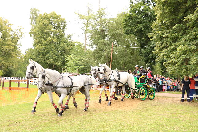 Bild 15: Bilder vom Marathon der Vierspänner beim Reitturnier in Donaueschingen