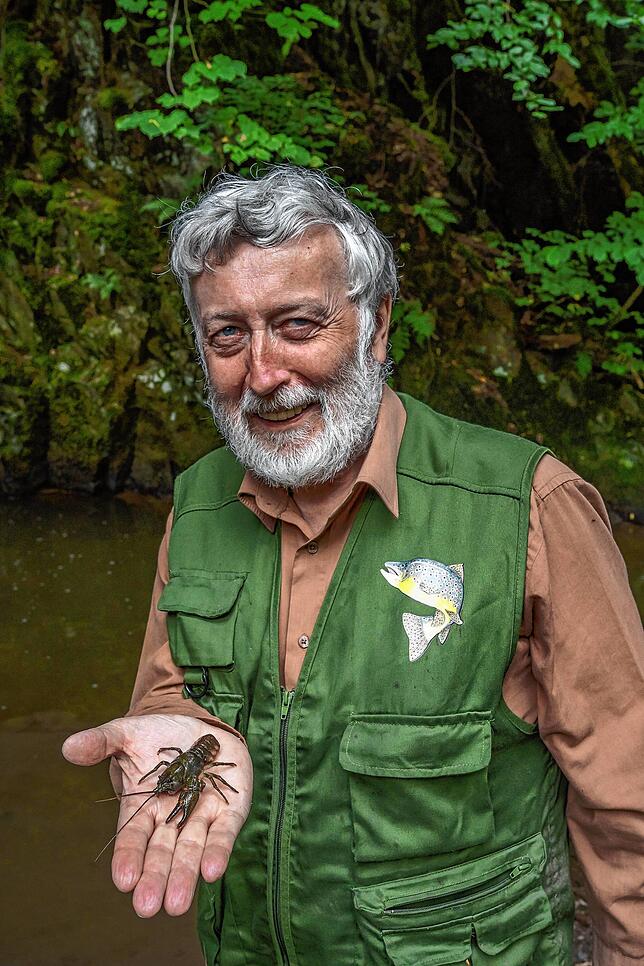Fischereipächter Jörg Kasseckert zeigt einen seltenen Steinkrebs, entdeckt in der Steina bei Detzeln.