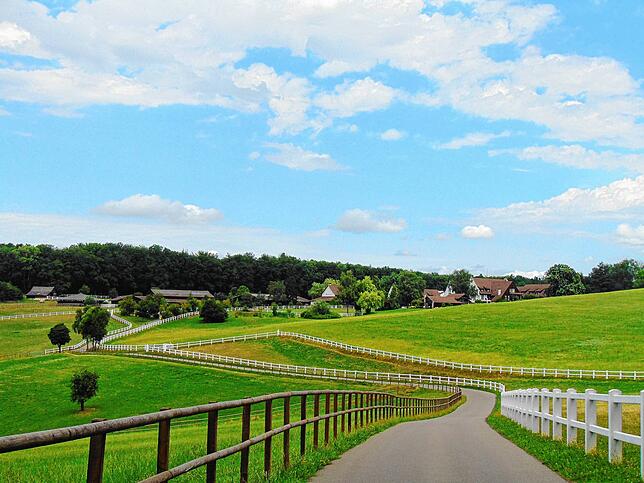 Schöne Wege und herrliche Pferdeweiden. Immer ein Augenschmaus für Wanderer und Gäste.