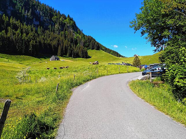 Bild 2: Normalerweise überrennen Touristen das Berggasthaus Aescher, doch wie sieht es dort jetzt aus? Wir nehmen Sie mit auf eine Wanderung