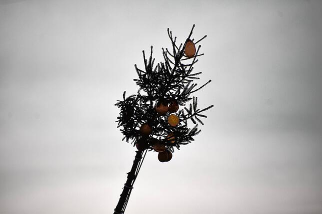 Bild 8: Bilder vom Narrenbaum-Setzen in Stockach Teil 2