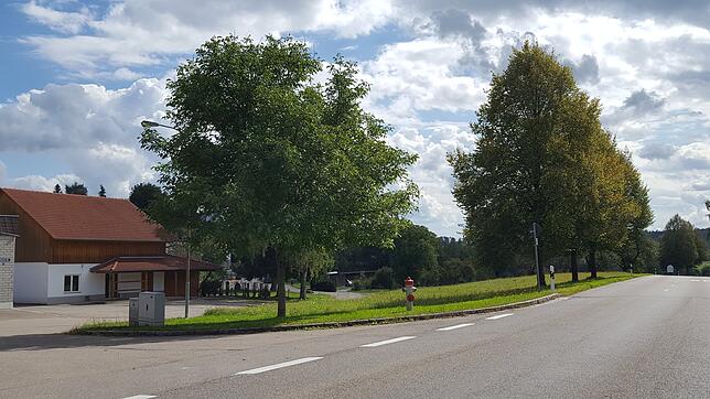 Direkt an der Durchgangsstraße, der L 163, soll der neue Dorfladen in Dettighofen gebaut werden. Die Gemeinde plant und baut den ...