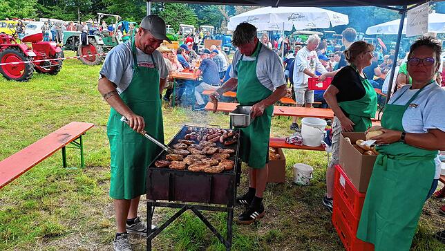 Bild 7: Die besten Bilder vom Bulldog- und Oldtimerfest