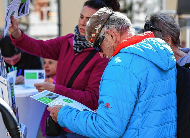 Bild 11: Alle Bilder vom verkaufsoffenen Sonntag in Radolfzell