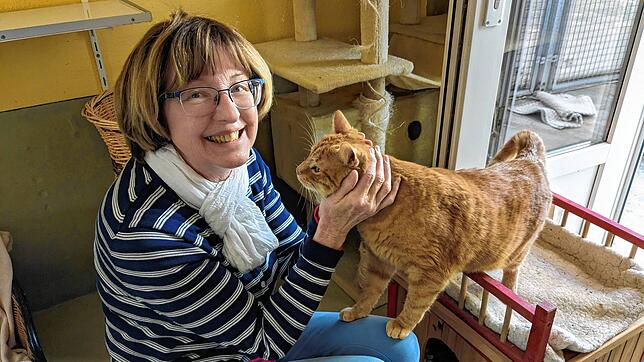 Sybille Keller kümmert sich im Singener Tierheim um den Bereich der Katzen und Kleintiere. Unter ihnen sind auch einige Pflegetiere, die ...