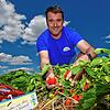 Thomas Romer, Chef des gleichnamigen Obstbaubetriebs, zeigt auf die reifen Erdbeeren. Obwohl sie so beliebt sind – wirklich rentabel ...