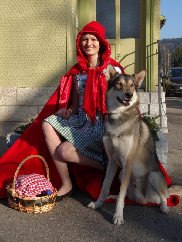 Im vergangenen Jahr waren Jessica Paulsen und Huskyrüde Speed Protagonisten bei der Erlebnisfahrt mit der Sauschwänzlebahn zum ...