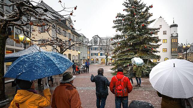 Am Radolfzeller Weihnachtsbaum wird das Licht angeschaltet.