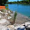 Noch stehen an der neuen Flachstelle am Ufer Bauzäune, aber in ihren Grundzügen ist sie fertig gestellt. Diese große Stufe am Ufer wird ...