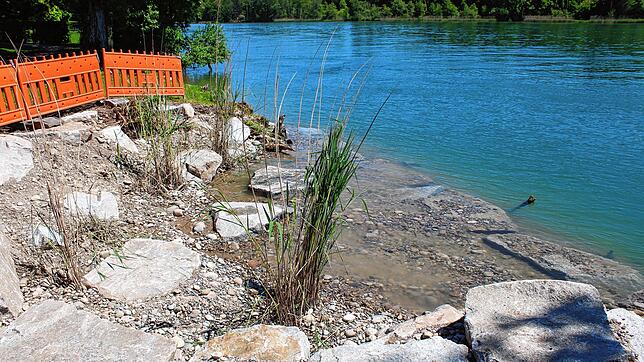 Noch stehen an der neuen Flachstelle am Ufer Bauzäune, aber in ihren Grundzügen ist sie fertig gestellt. Diese große Stufe am Ufer wird ...