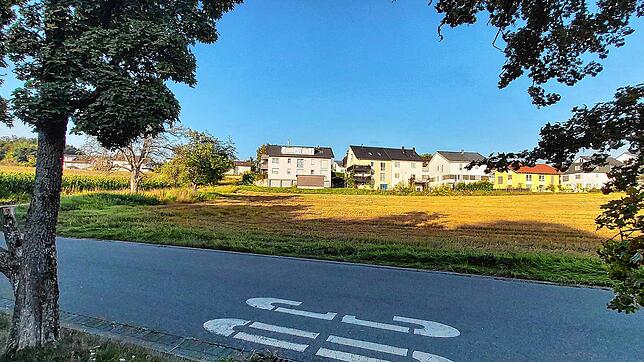 Auf diesem bisher landwirtschaftlich genutzten Gelände am Kanalweg in Mühlhofen wird das neue Kinderhaus Sonnenschein entstehen.