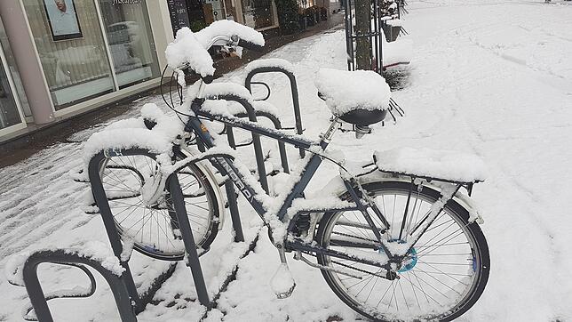 Bild 8: Die Stadt in weiß: Bilder aus dem verschneiten Friedrichshafen