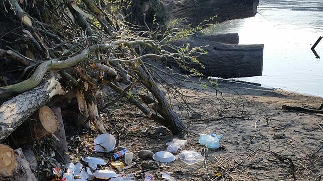 Umweltsünder entsorgen ihren Müll häufig am Ufer des Rheins, wie hier in Bad Säckingen. Dabei gelangt immer mehr Plastik auch in den Fluss.