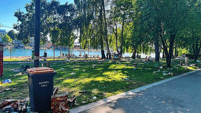 17.30 Uhr am Freitag, das Campus-Festival hat angefangen, zurück bleibt der Müll im Herosé-Park. Dort hatten tausende junge Menschen ...