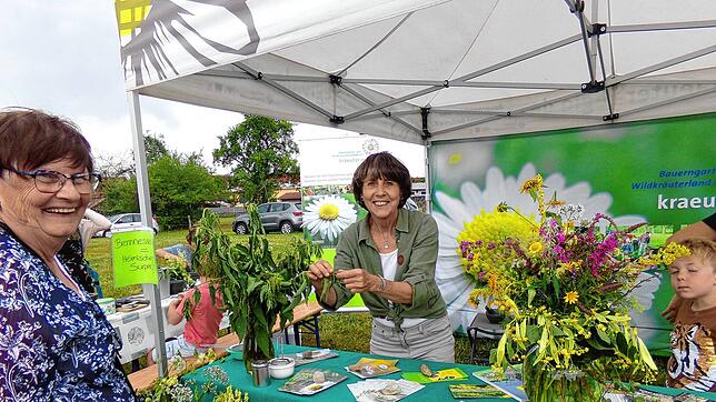 Der Naturparkmarkt lockt bei Wolterdingens 1250-Jahr-Feier mit 32 Ständen. Claudia Hennemann (rechts) zeigt Inge Ringwald, was man aus ...
